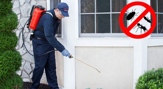 Marmaraereğlisi Bit İlaçlama böcek ilaçlama ve haşere kontrolü — ilaclama-tr.com
